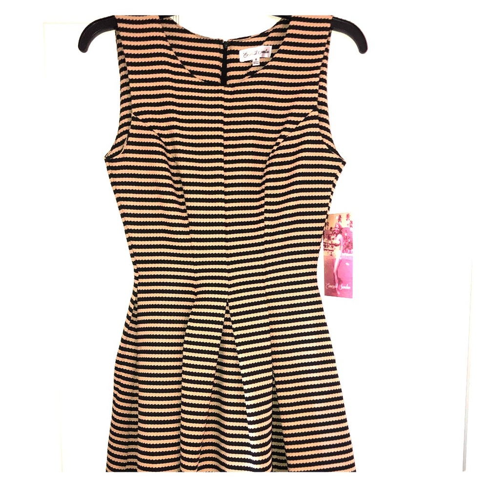 Black & Tan Stripped Dress